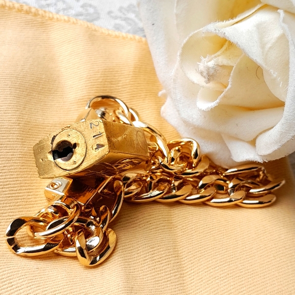 Louis Vuitton  Vintage Lock with unbranded Chain! - Picture 3 of 5